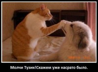 /album/foto-rzhach/x2ultnb84ce-jpg/