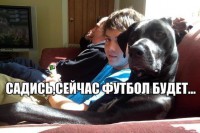 /album/foto-rzhach/xcc1uf218os-jpg/