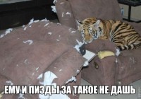 /album/foto-rzhach/xcsdfqxcem4-jpg/