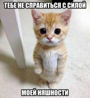 /album/foto-rzhach/xle2s6okpcq-jpg/