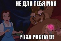 /album/foto-rzhach/xuvm4ouueew-jpg/