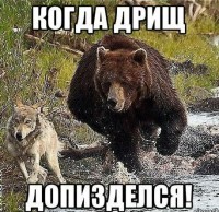 /album/foto-rzhach/xw6pjcettmk-jpg/