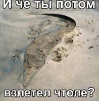 /album/foto-rzhach/y7bszvnkozi-jpg/