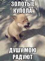 /album/foto-rzhach/yjs1qxv06wq-jpg/