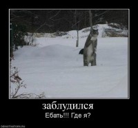 /album/foto-rzhach/ysvqjpyxvr4-jpg/